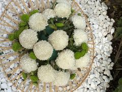 -汇龙潭