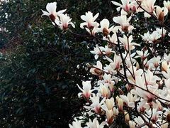 -河南省黄河迎宾馆