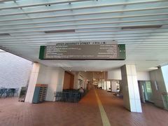 -香港大学
