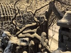 -斯多格书乡(北京大学畅春园店)
