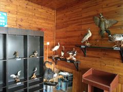 -南京金牛湖风景区