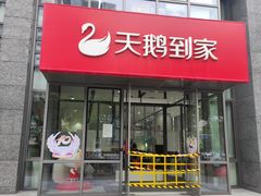 -天鹅到家·保姆月嫂育儿嫂(总店)
