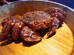 红毛蟹-蟹田居·活蟹料理(东城店)