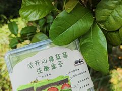 -君之狮子山·轻糖烘焙(松江印象城店)