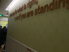 -LILY英语思维馆(玉泉路店)