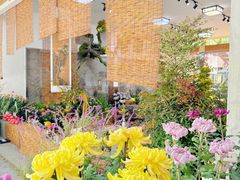 -杭州植物园