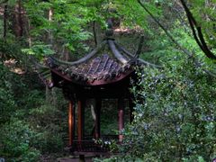 -虎跑公园