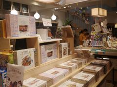 -猫的天空之城概念书店(束河店)