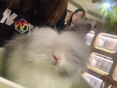 -藦茜花园宠物主题亲子互动体验馆(国顺东路店)