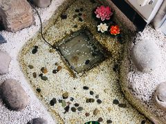 -繁·醉花亭小酒馆(鼓楼店)