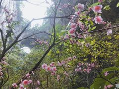 -英西峰林·洞天仙境