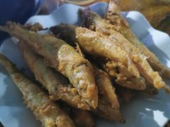 -疍家人黄记海鲜火烧烤