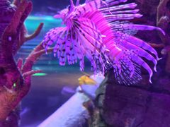 -沈阳海洋探索中心