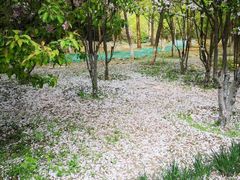 -奥林匹克森林公园南门-停车场