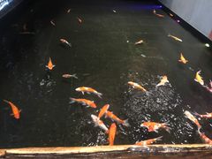 -顺丰国宴(工业博物馆店)
