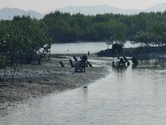 -盐洲岛