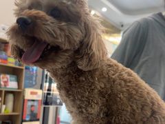 -安安宠医·臻爱宠物医院·宠保定点(营门口路分院)