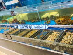 -神洲四海大酒楼(王府井澳门中心店)