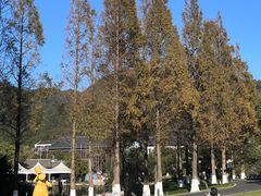 -东钱湖旅游度假区