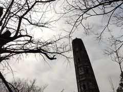 -上海佘山国家森林公园天马山园