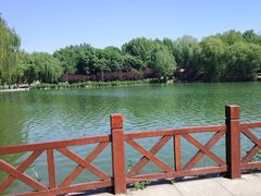 -河北省园博园