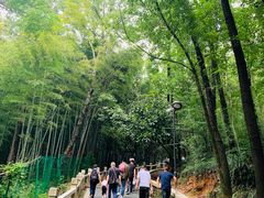 -灵岩山风景区
