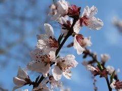 -白塘生态植物园