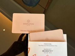 -汕头龙光喜来登酒店