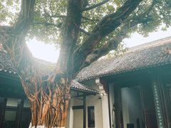 -白帝城·瞿塘峡景区