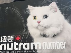 -瑞鹏宠物医院·眼科·皮肤·中兽医(大悦城分院)