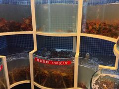 -指爱龙虾(金杨路总店)