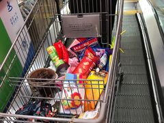 -沃尔玛购物广场(东莞凤岗中心分店)