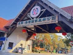 -上海海湾国家森林公园