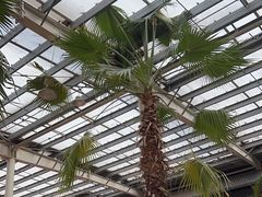 -龙达温泉生态城
