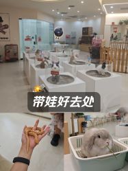 -Moni星球萌宠·小马宝莉·灵蛇·高端高阶全萌宠互动体验俱乐部(红豆国际广场店)