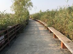 -绿堤公园