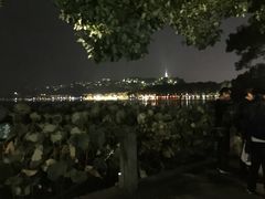 -湖畔居茶楼(湖滨店)