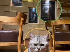 -H立方实景剧情密室(天河旗舰店)