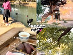 -乌村