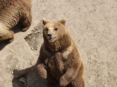 -哈尔滨北方森林动物园