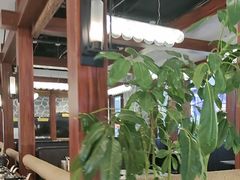-尚宴牛特鲜自助(太原街万达店)