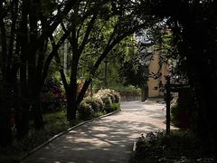 -南宁良凤江国家森林公园