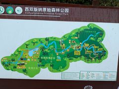 -西双版纳原始森林公园