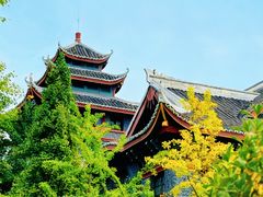 -四川大学(华西校区)