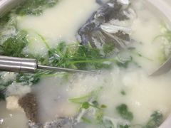 -天乐农家鱼头王(天目湖店)