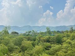 -陶祖圣境风景区