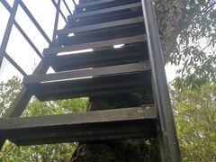 -云南屏边大围山国家公园