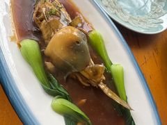 -天正河鲀·河豚亭(大连店)