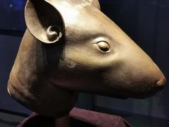 -广西壮族自治区博物馆