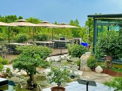 -蘇河湾·新鲁菜·泰山宴(泰山店)